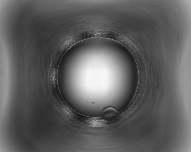 X0000087610336200704271345
