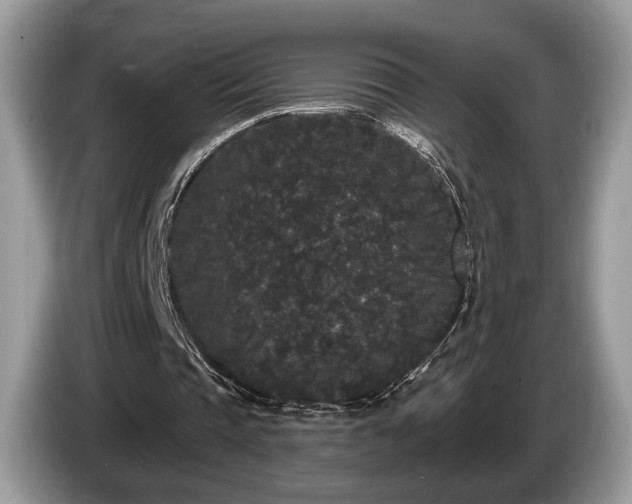 X0000087610337200704271344