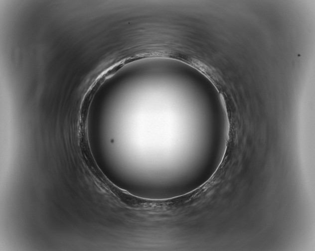 X0000087610338200704271344