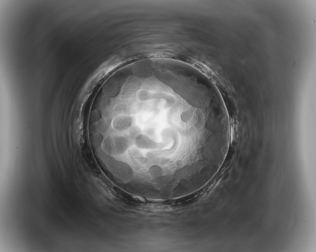 X0000087610339200704271344