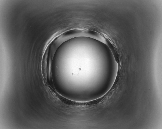 X0000087610340200704271344