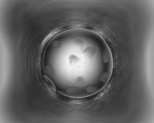 X0000087610341200704271344