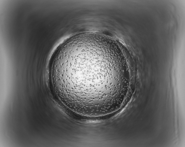 X0000087610342200704271344