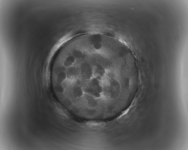 X0000087610343200704271344