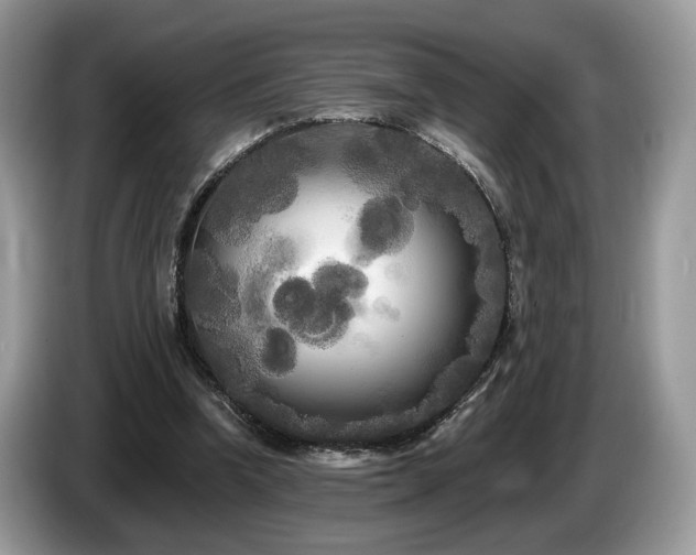 X0000087610346200704271344