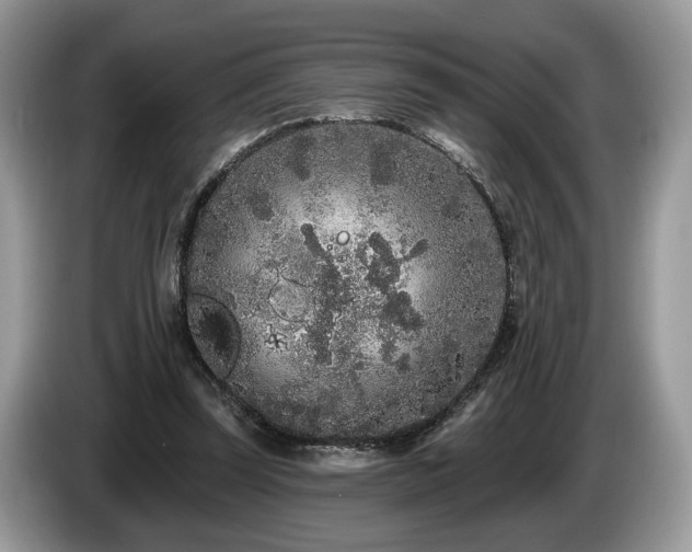 X0000087610347200704271344