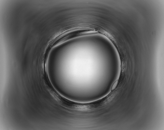 X0000087610349200704271344