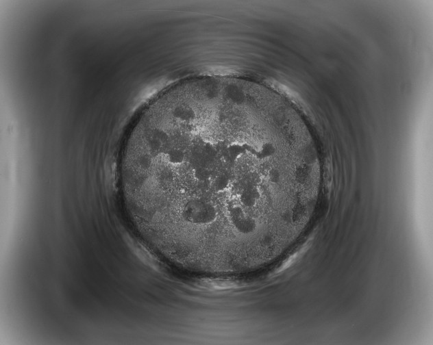 X0000087610351200704271344
