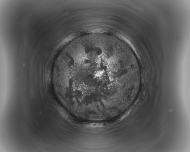 X0000087610353200704271345