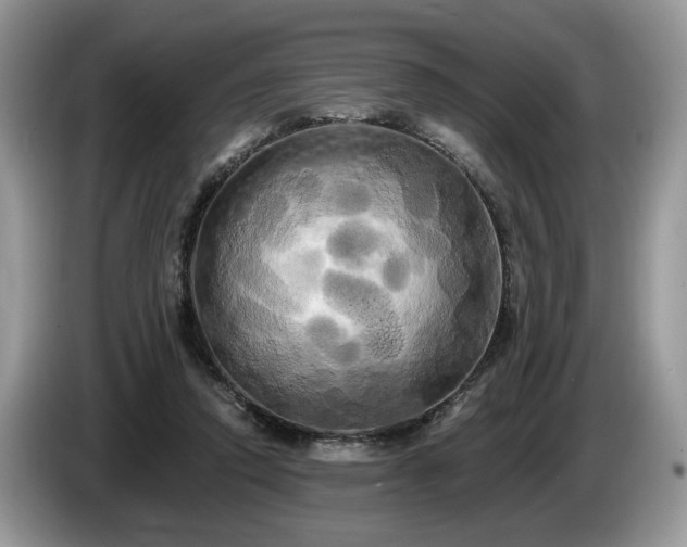 X0000087610354200704271345