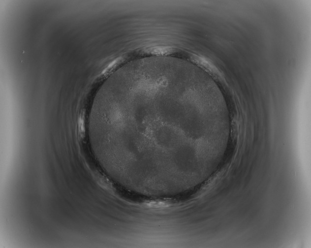 X0000087610358200704271345