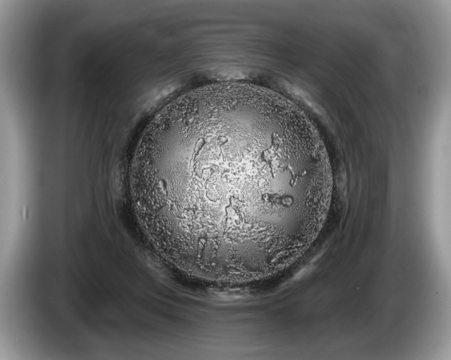 X0000087610359200704271345