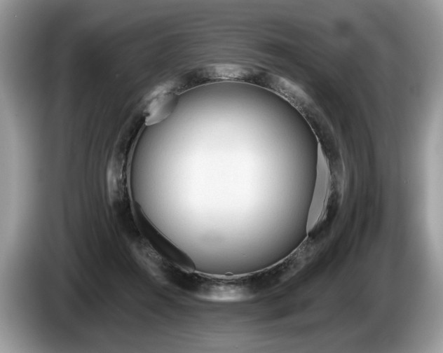 X0000087610360200704271345