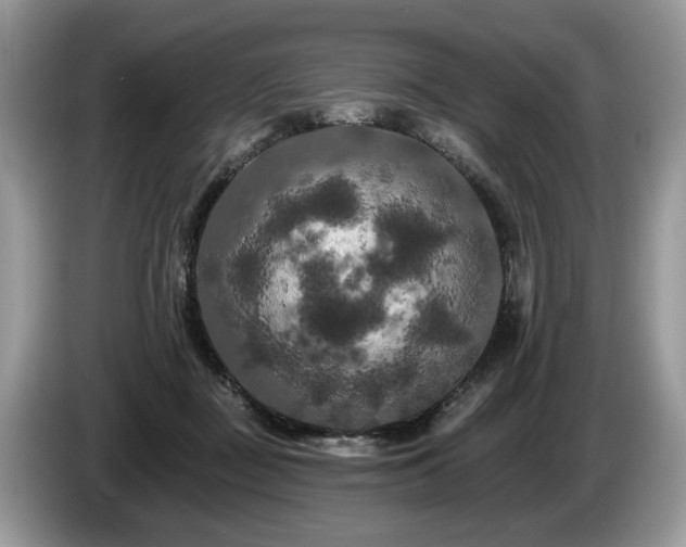 X0000087610363200704271345