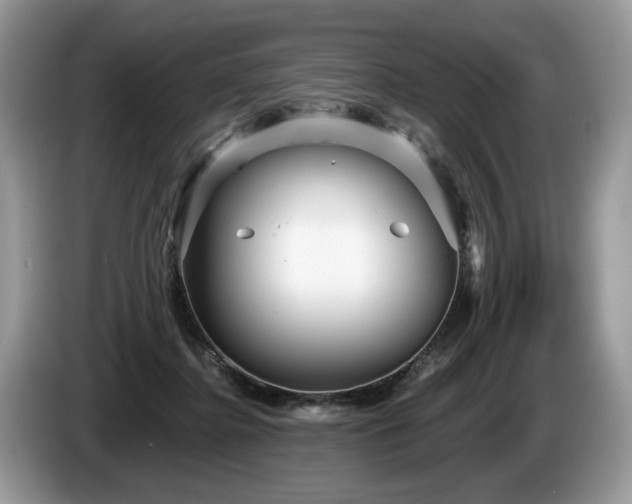 X0000087610364200704271345