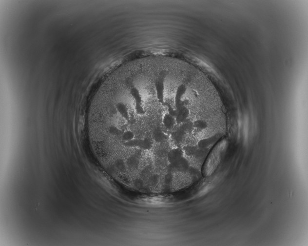 X0000087610365200704271345