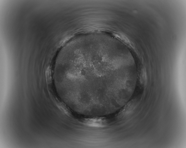 X0000087610366200704271345