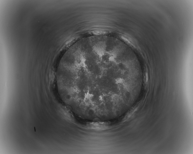 X0000087610367200704271345