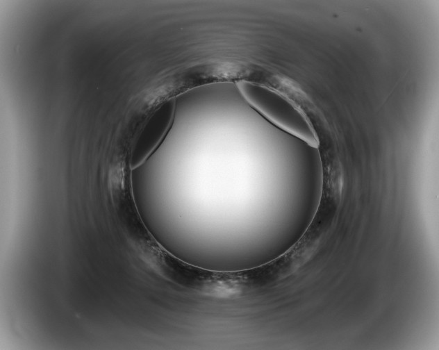X0000087610368200704271345