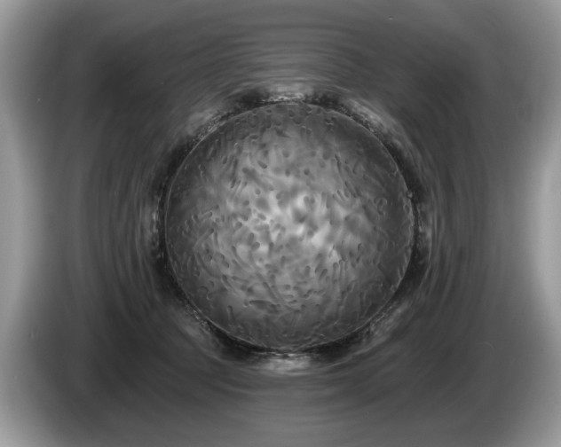 X0000087610369200704271345