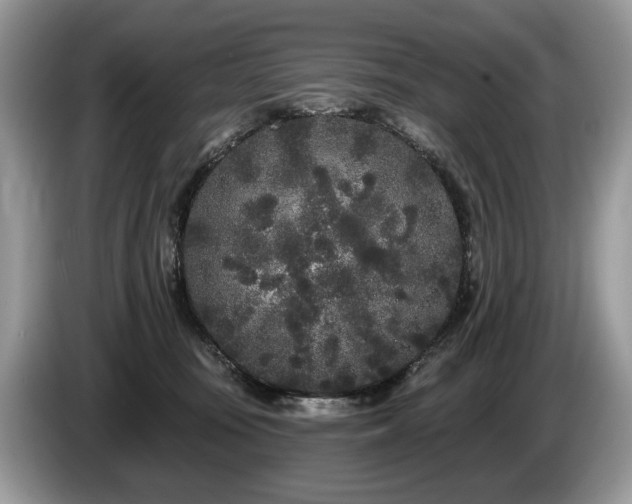 X0000087610371200704271345
