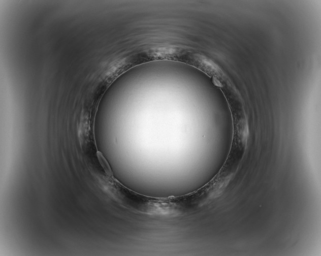 X0000087610372200704271345