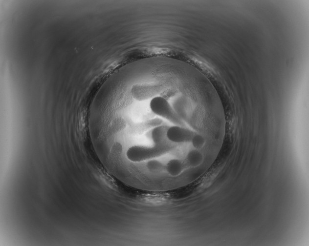 X0000087610373200704271345