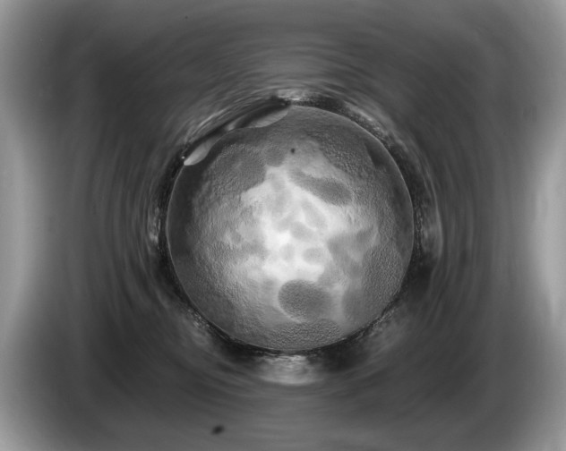 X0000087610374200704271345
