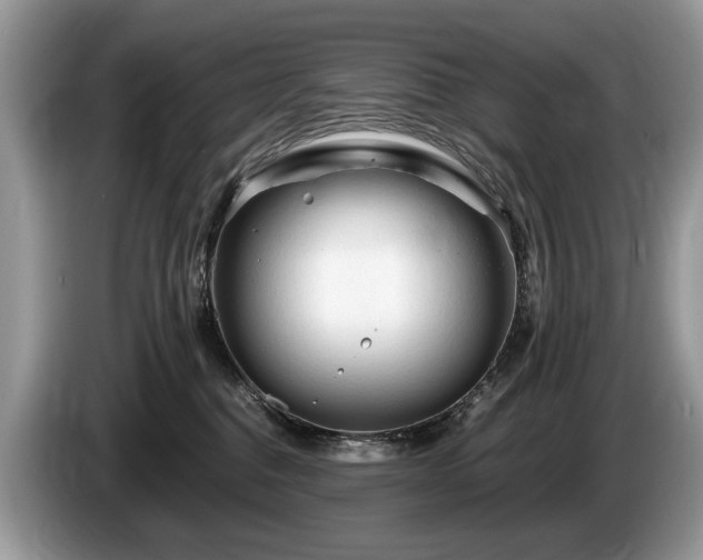 X0000087610376200704271345