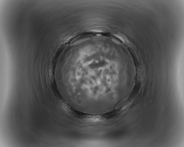 X0000087610377200704271345