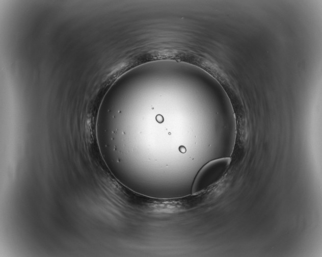 X0000087610378200704271345