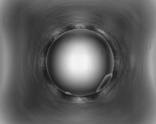 X0000087610379200704271345