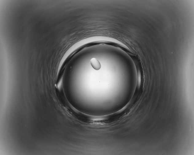 X0000087610380200704271345