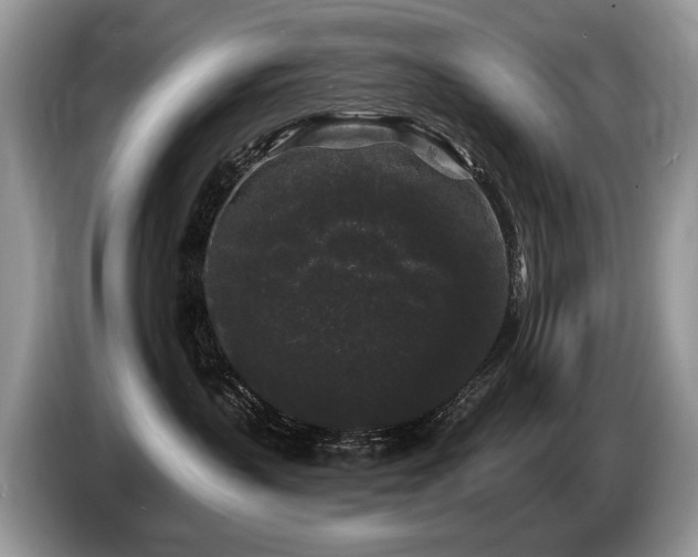 X0000087610383200704271345