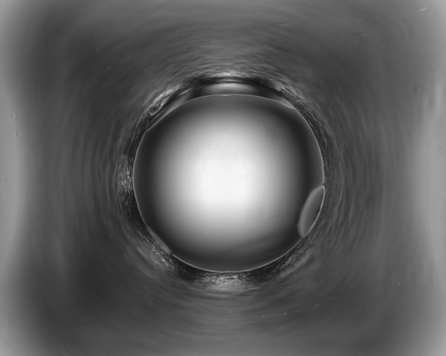 X0000087610384200704271345