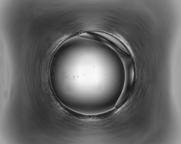 X0000087610385200704271344