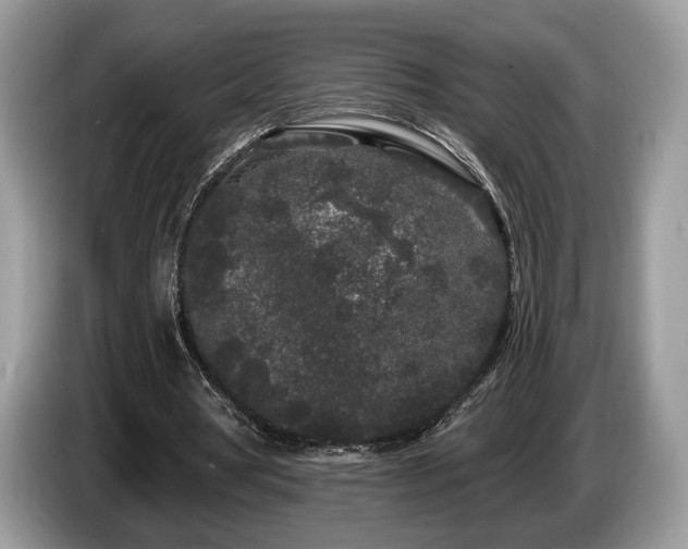 X0000087610386200704271344