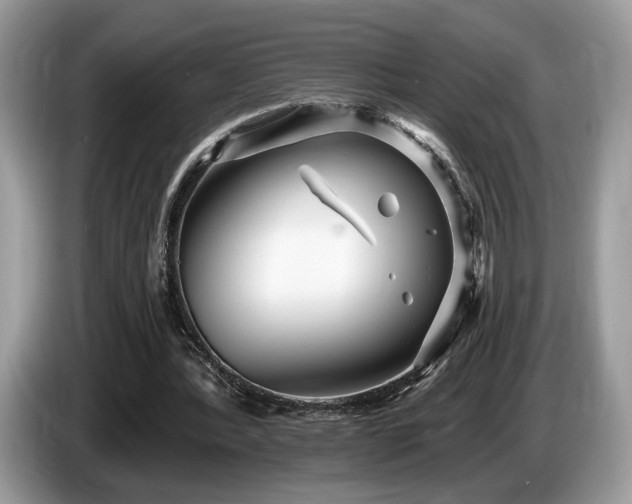 X0000087610388200704271344