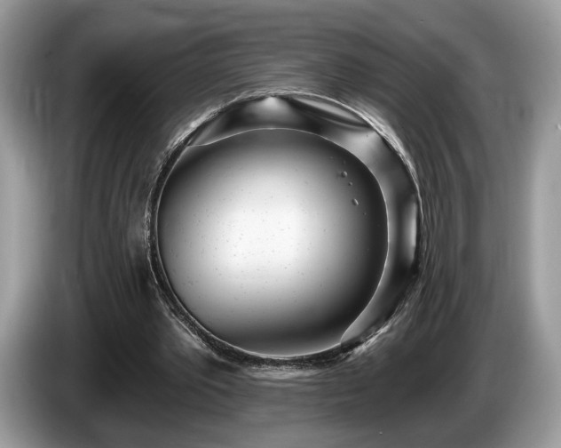 X0000087610389200704271344