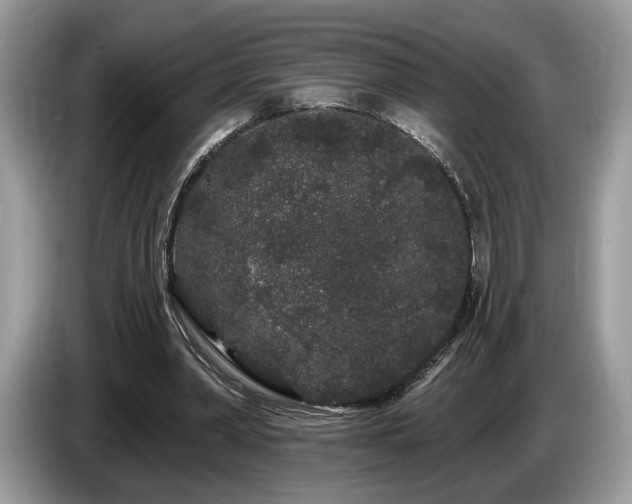 X0000087610390200704271344