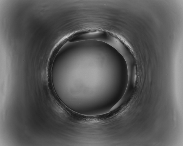 X0000087610391200704271344
