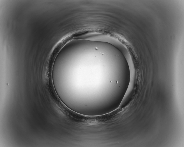 X0000087610392200704271344