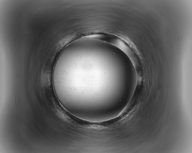 X0000087610393200704271344