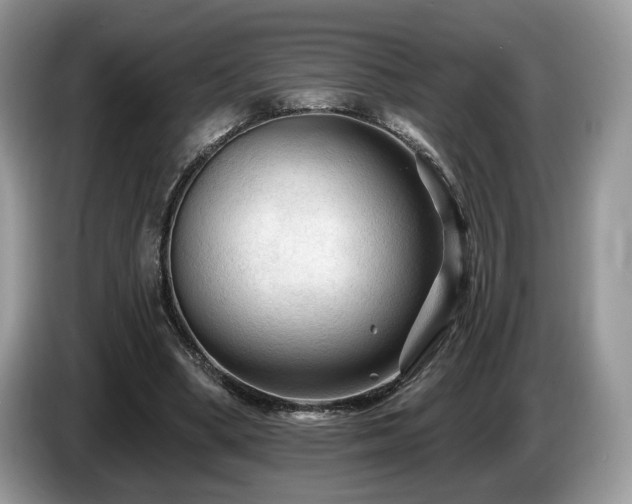 X0000087610394200704271344