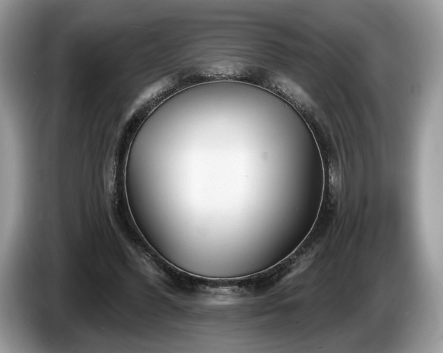 X0000087610396200704271344
