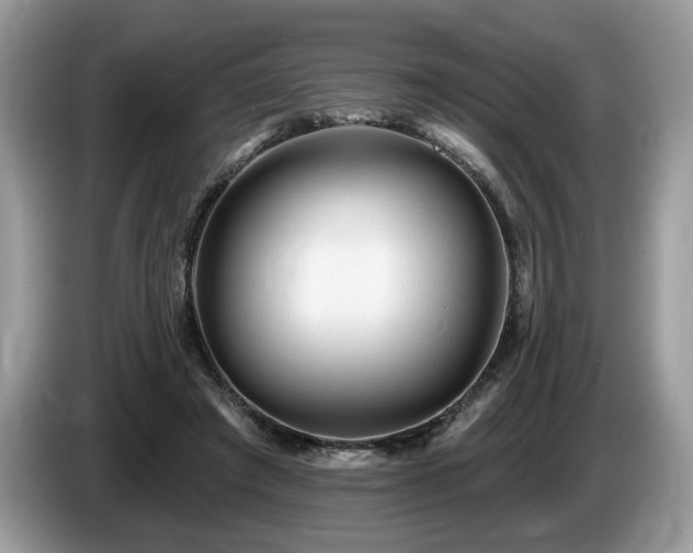 X0000087610401200704271344