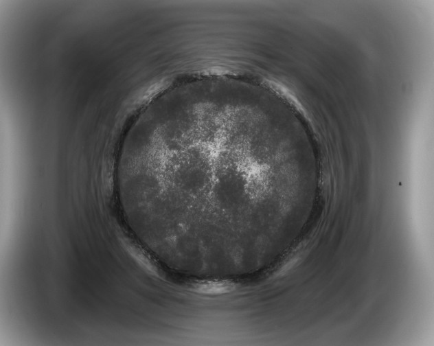 X0000087610402200704271344