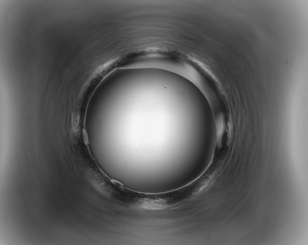 X0000087610403200704271344