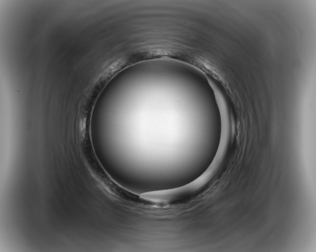 X0000087610406200704271344