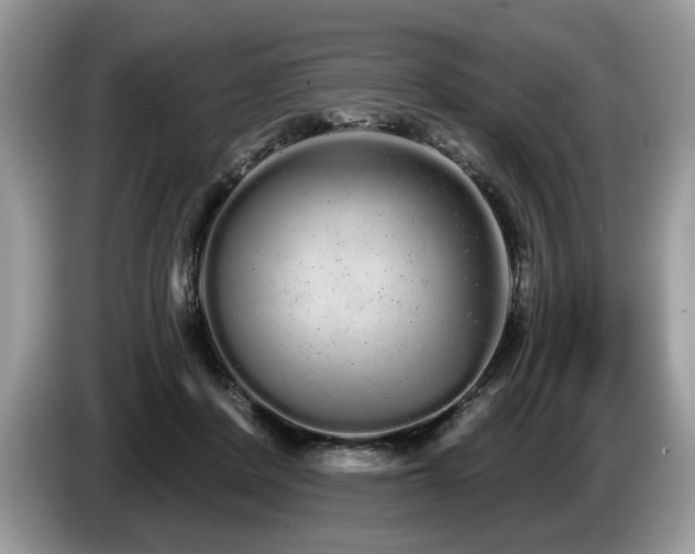 X0000087610408200704271344